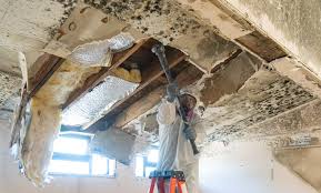 Best Real Estate Mold Inspection  in Waterloo, WI